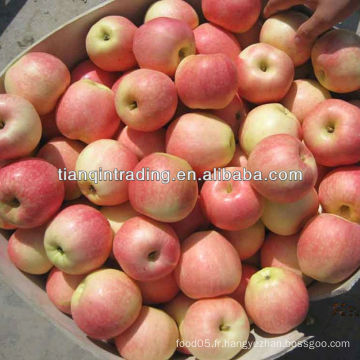 Chine Fruit Fuji Apple